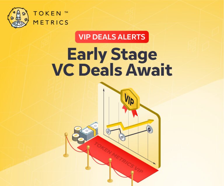 Vip Bot Launch Impact